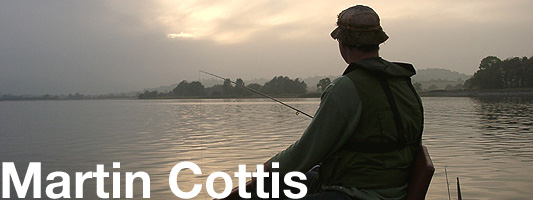 martin cottis