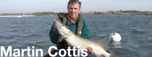 martin cottis