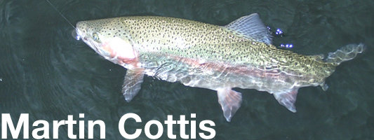 martin cottis