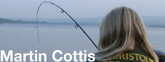 martin cottis