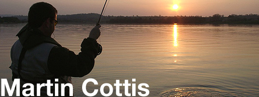martin cottis