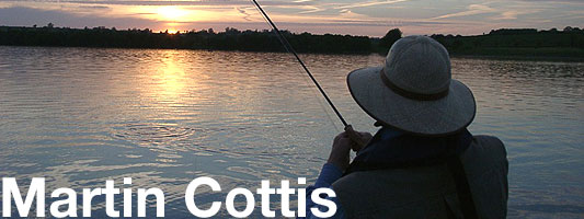 martin cottis