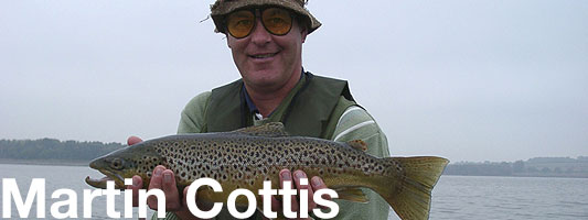 martin cottis