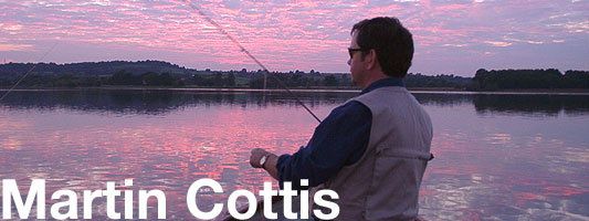 martin cottis