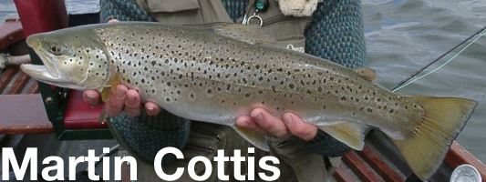 martin cottis