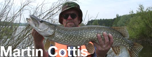 martin cottis