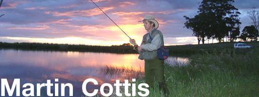 martin cottis