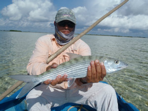 Adisbelbonefish